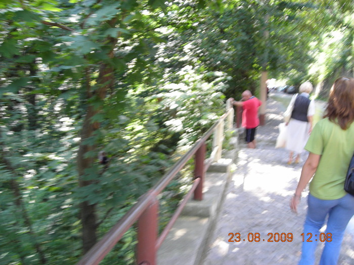DSCN9642 - Sinaia 23 08 2009