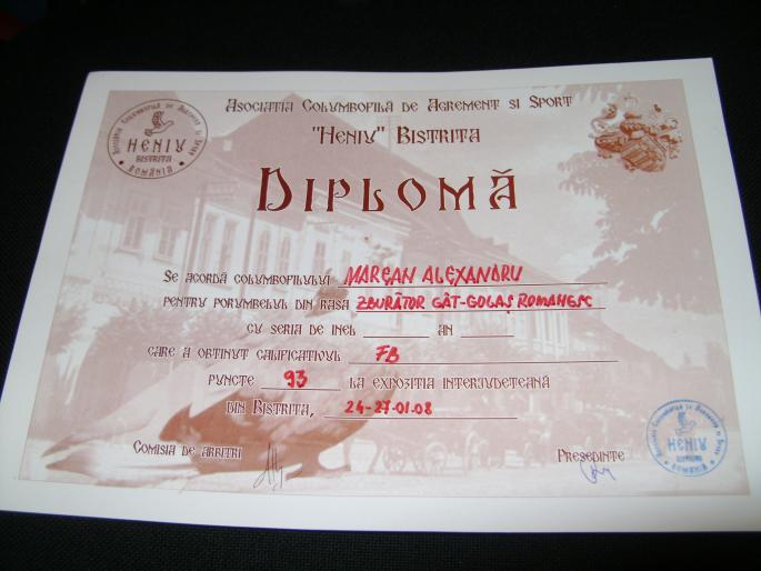 expo bistrita 2008 - Diplome si Medalii