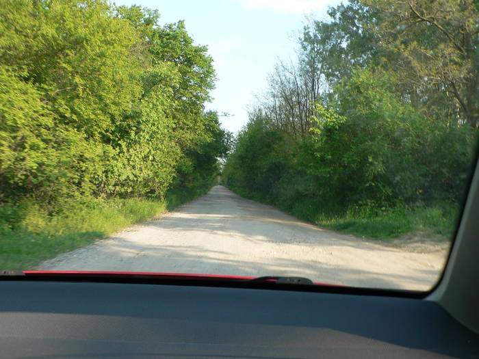 P1040920