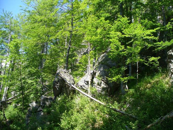 P1000417 - varful Ignis Maramures