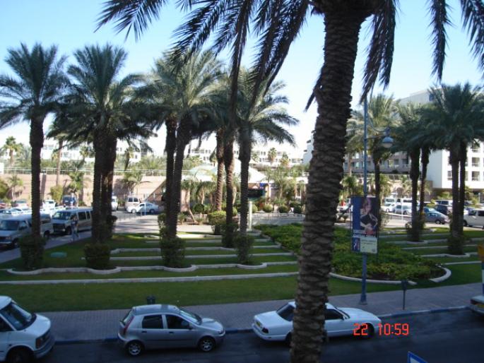 492  Israel - Eilat - 2008 ISRAEL NOIEMBRIE