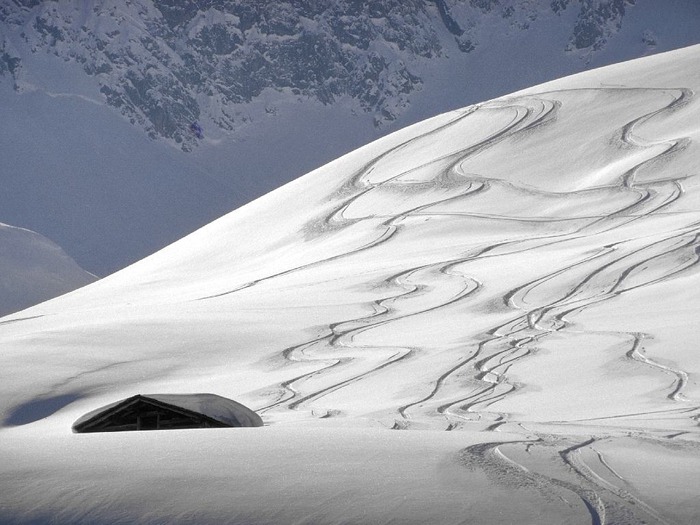 Christmas Wallpapers (509)