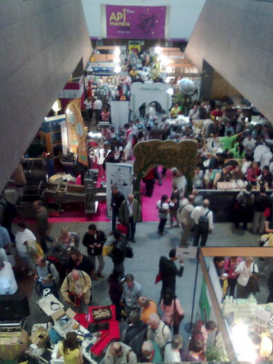 Imagine1137 - ApiMondia