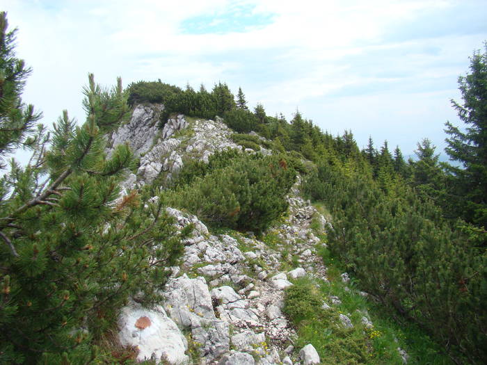 DSC03775 - Concediu 2009