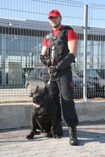 IMG_1514 - dogo canario