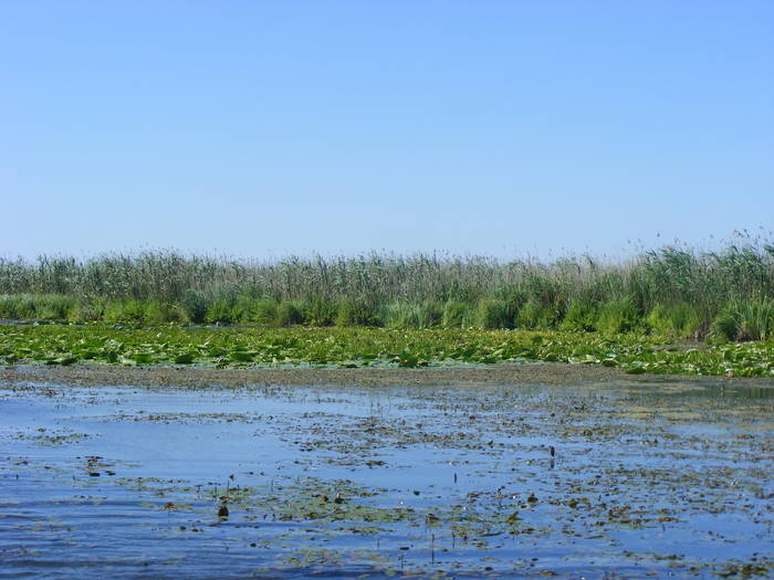 Picture 131 - Sulina Delta iulie 2009