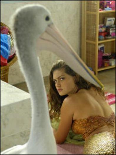 BSHAFSLSBMGTFYXJUHN[1]