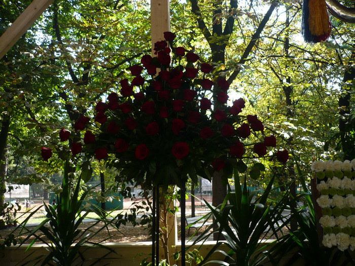 29-09-2009 049 - Expo-Flora 2009 Baia Mare