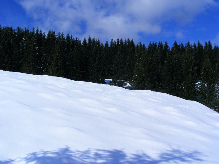 DSCF6922
