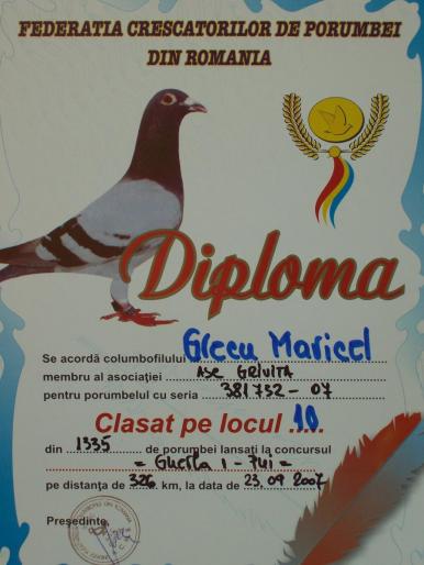 100_2880 - rezultate