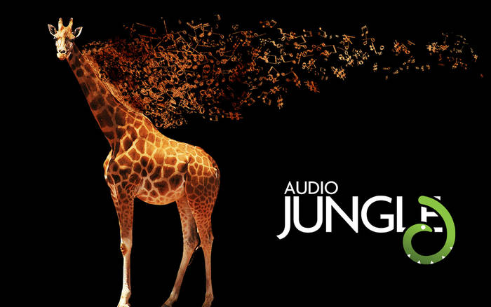 audio_jungle07