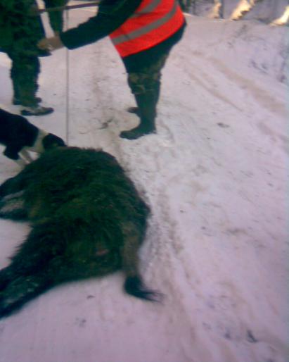 Image005