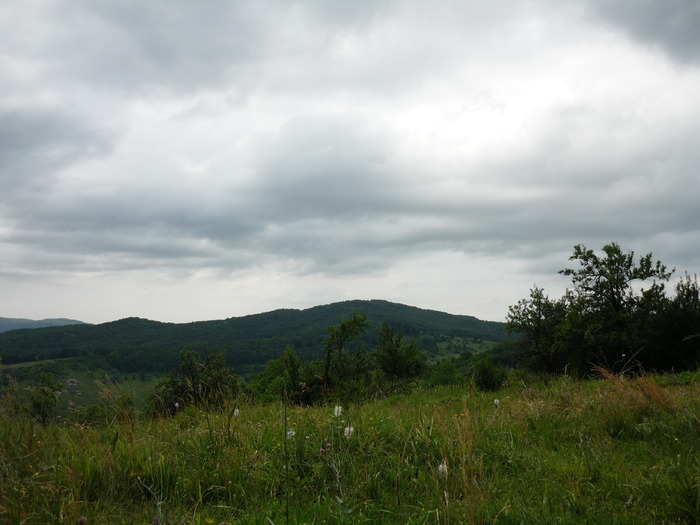 14 vine ploaia  - Un weekend la padure la locul bunicilor