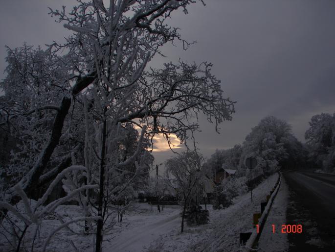 Iarna la Zalau - Natura