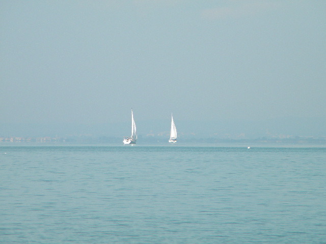 DSCN1214
