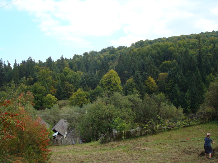 DSC03581 - SCHITU FRUMOASA BALCANI