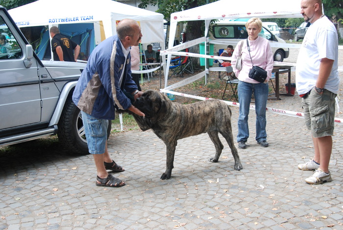 DSC_0084 - Concurs international de frumustete canina 2009 TgMures