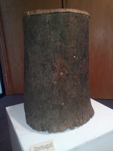 Imagine1090 - ApiMondia