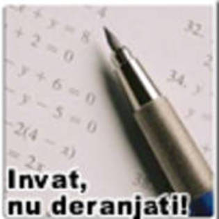 FVRWAYBQMDREEPQWEAT