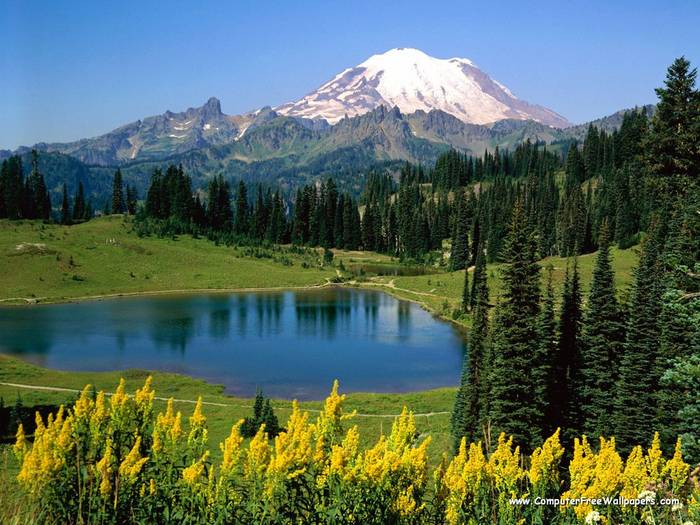 Wallpapers - Nature 10 - Alpine_Scenic,_Mount_Washington,_Washington - Very Beautiful Nature Scenes