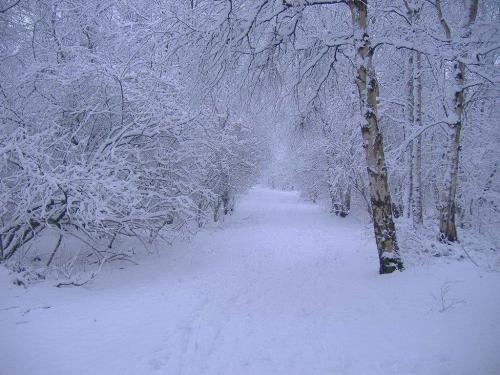 Poze super_ Imagini super tari_ Peisaje iarna super 28