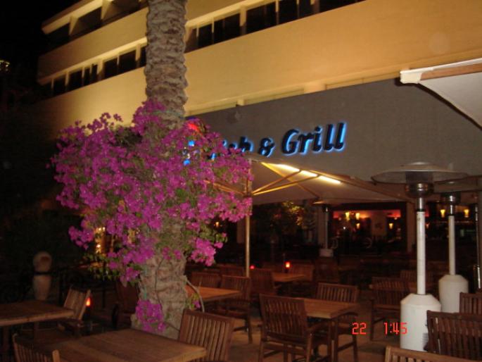 473  Israel - Eilat - 2008 ISRAEL NOIEMBRIE