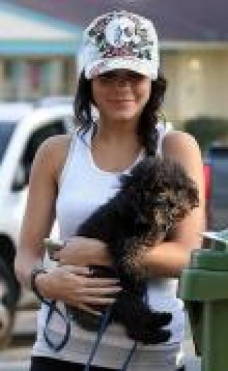 HCVUAAIMXZFDPGJJENH - mania hsm si vanessa