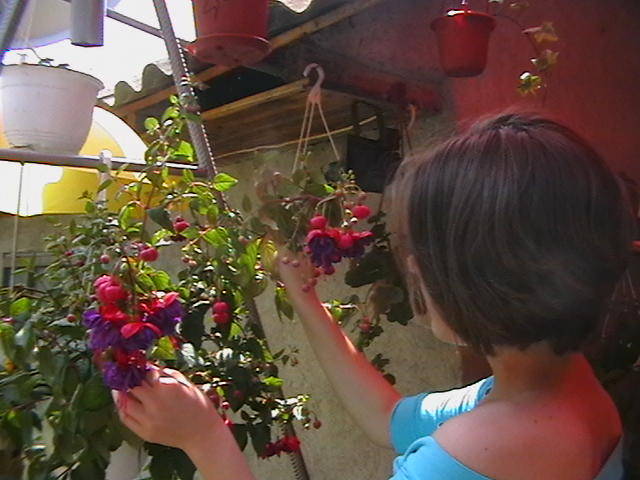 Picture 013
