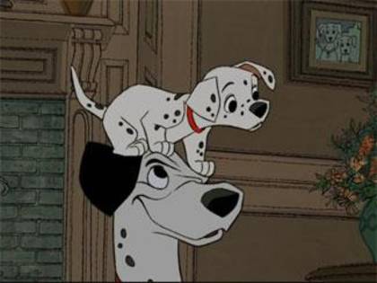 JEDKXLTTZFPPLMDJXQK[1] - poze 101 dalmatieni