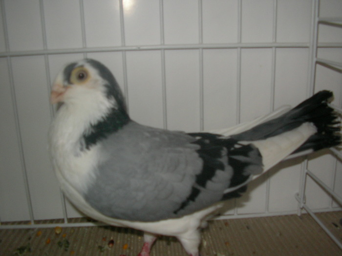 SANY0117