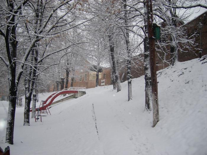 Iarna la Medias-Parcul Sub Alei