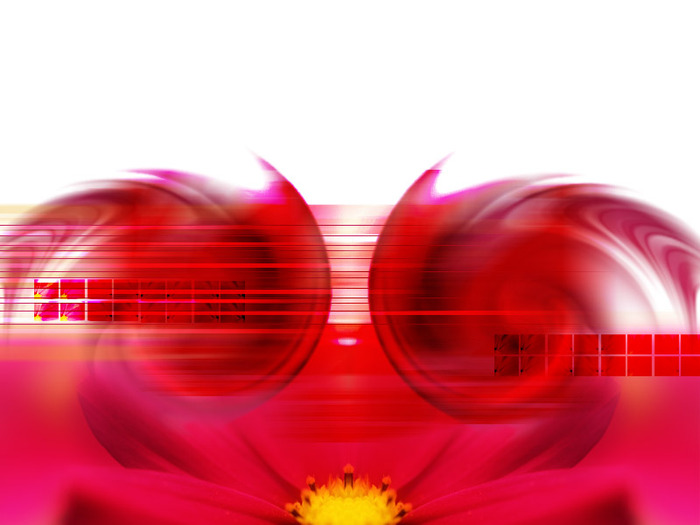 Moon flower - Din Natura