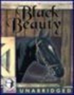 black beauty - BLACK BEAUTY