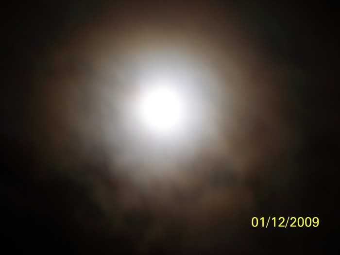 100_6160 - 1 Decembrie Timisoara