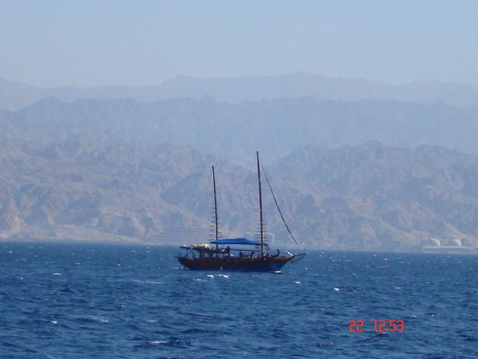 548 Israel - Eilat - The Observatory Marine Park - 2008 ISRAEL NOIEMBRIE