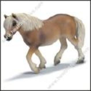 iapa din schleich; Este o iapa de rasa Haflinger.
