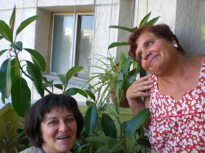 IASI 319 - y VACANTA IASI IULIE 2008
