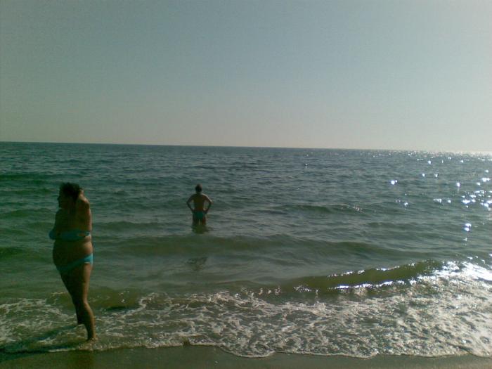 15082008(008) - mamaia 2008