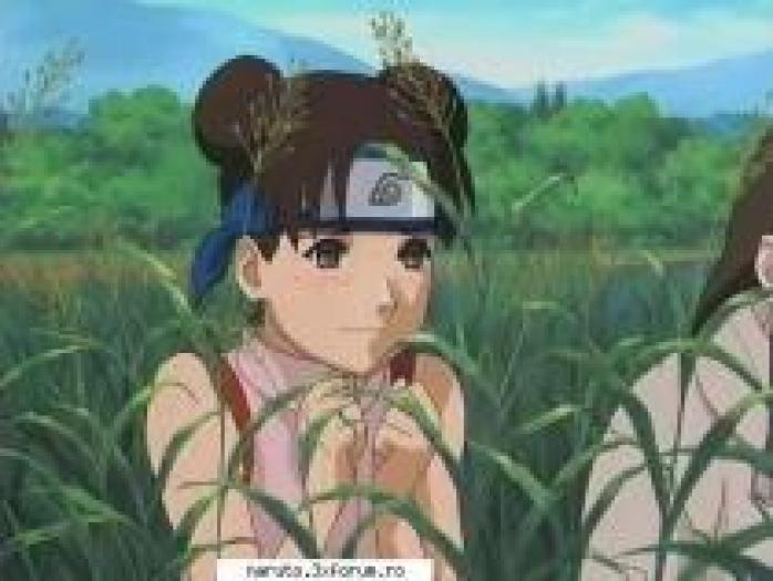 tenten e pe kamp tenten e pe kamp ura dragutza mea temari e pe kamp