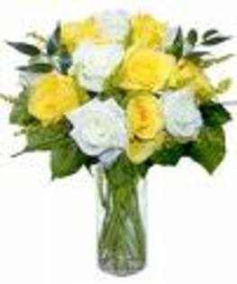 images_10