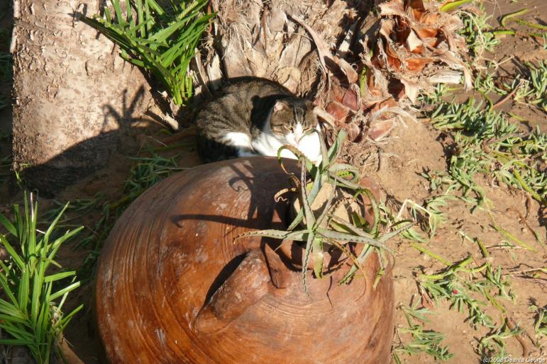 Tunisia_054 - Tunisia