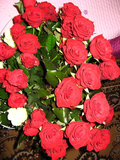 11.05 009 - my roses