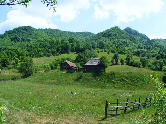 DSCF0989