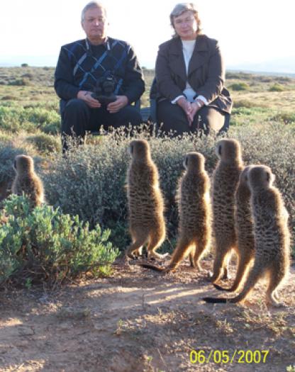 meerkat%20suricate%20meerkats%20suricates%20tour%20r557 - poze animalutze