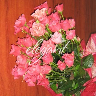 d7438c8c_0050000913951_00_600