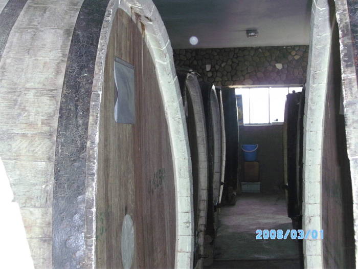 SANY5636 - producator de vinuri