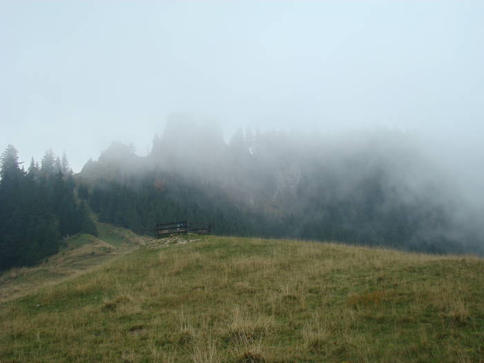 DSC00347
