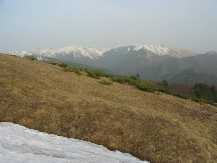 Munte aprilie 2008