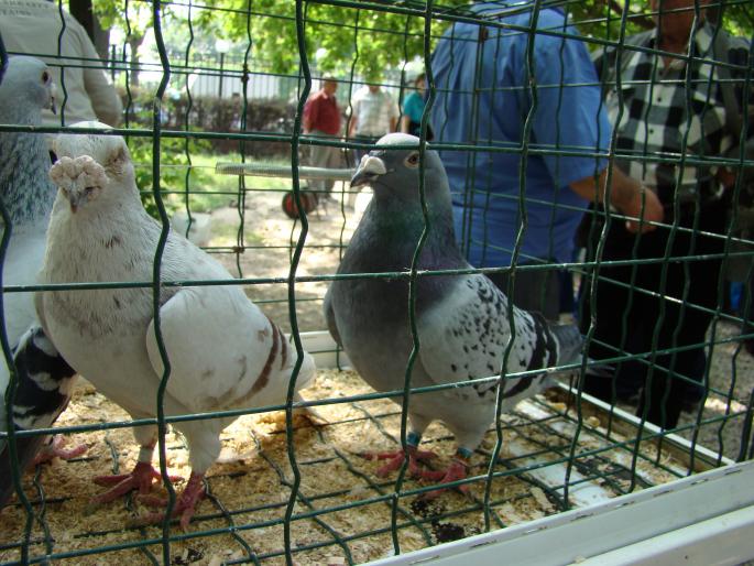 DSC00626