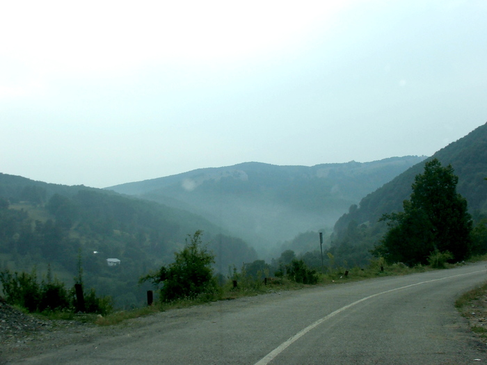 DSCF4861 - Valea Cernei